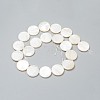 Natural Freshwater Shell Beads BSHE-I011-01A-02-2