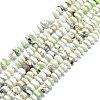 Natural American Turquoise(Jasper) Beads Strands G-F715-066-1