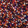 Baking Paint Glass Seed Beads X-SEED-S042-05B-49-3