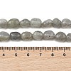 Natural Labradorite Beads Strands G-P623-A03-01-5
