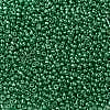 12/0 Glass Seed Beads X-SEED-A017-2mm-1114-2