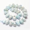 Natural Aquamarine Bead Strands G-H038-14-2