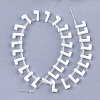 Freshwater Shell Beads X-SHEL-T012-59L-2