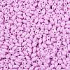 Baking Paint Glass Seed Beads SEED-T006-03L-2