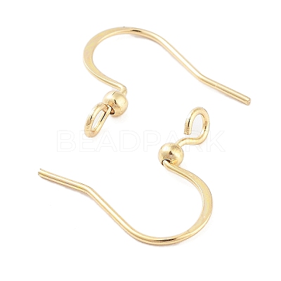316 Surgical Stainless Steel Earring Hooks LS-X-STAS-K274-10G-1