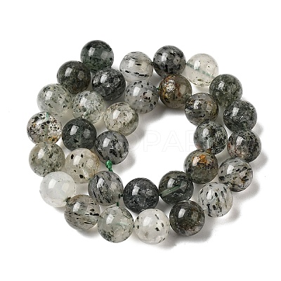 Natural Fuchsite Beads Strands G-K285-40D-1-1
