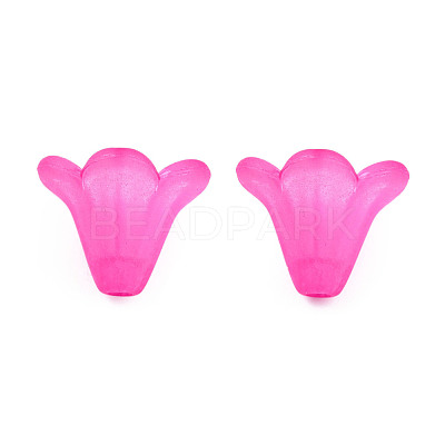Frosted Acrylic Beads PL692-3-1