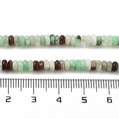 Natural Chrysoprase Beads Strands G-B088-A01-01-1