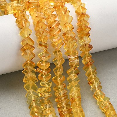 Natural Amber Beads Strands G-K376-C02-01-1