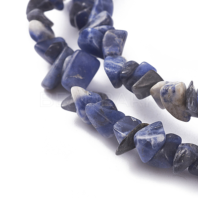 Natural Sodalite Beads Strands X-G-G782-31-1