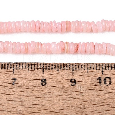 Natural Freshwater Shell Beads Strands SHEL-Q028-01D-1