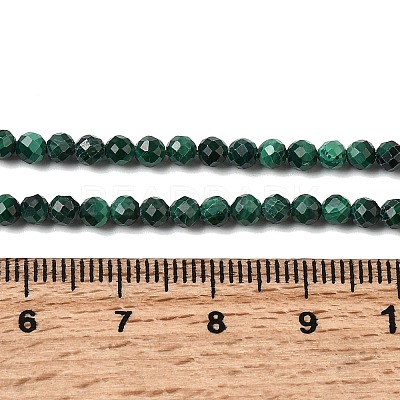 Natural Malachite Beads Strands G-H336-A07-02-1