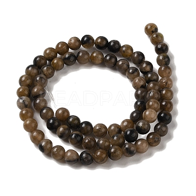 Natural Chiastolite Beads Strands G-Q161-A03-02-1
