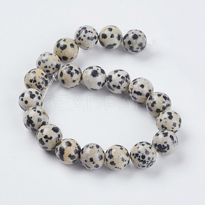 Natural Dalmation Jasper Beads Strands G-G515-10mm-06-1