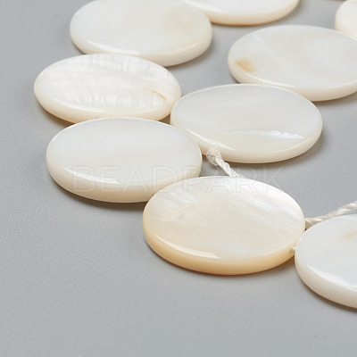 Natural Freshwater Shell Beads BSHE-I011-01A-02-1