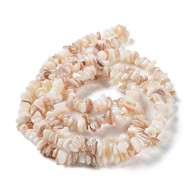Natural Shell Beads Strands G-F328-45-1