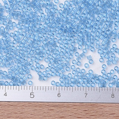 MIYUKI Delica Beads X-SEED-J020-DB0113-1