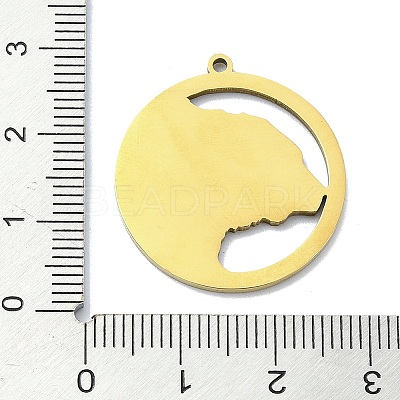 201 Stainless Steel Pendants STAS-R118-04G-1
