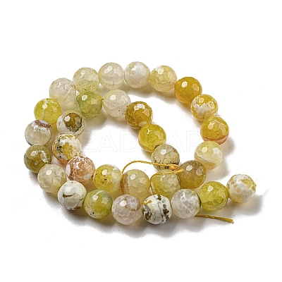 Faceted Natural Fire Crackle Agate Beads Strands G-F447-12mm-N02-1
