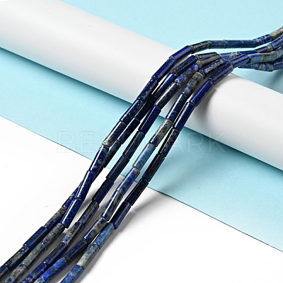 Natural Lapis Lazuli Beads Strands G-I326-05A-1