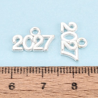 New Year's Day Alloy Charms FIND-N014-01S-1