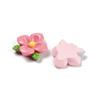 Opaque Resin Cabochons RESI-Z044-01C-1