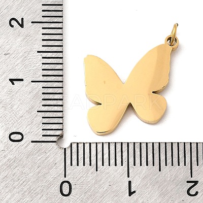 304 Stainless Steel Pendants STAS-B093-17G-02-1