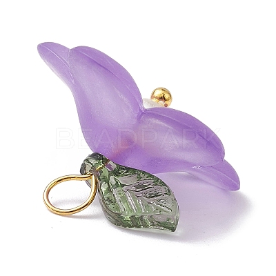 Transparent Acrylic Pendants PALLOY-JF02490-1