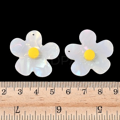 Opaque Acrylic Pendants FIND-K024-02A-1