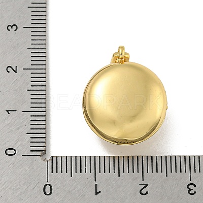 Brass Cubic Zirconia Locket Pendants KK-N254-93D-G-1