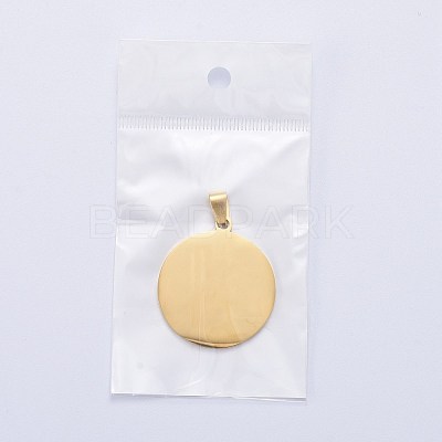 304 Stainless Steel Pendants STAS-I140-17G-1