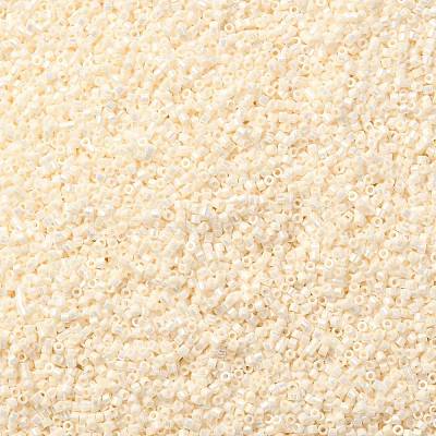 Cylinder Seed Beads SEED-H001-B04-1