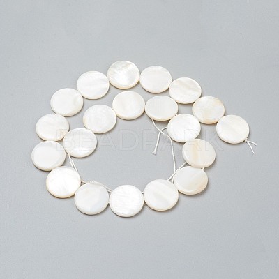 Natural Freshwater Shell Beads BSHE-I011-01A-02-1