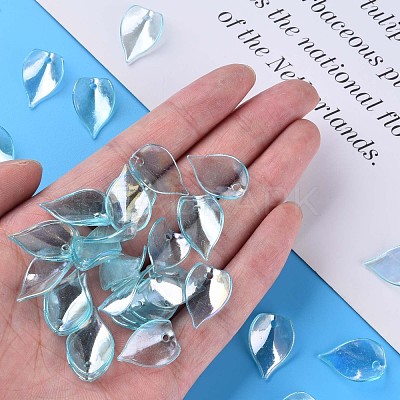 Transparent Acrylic Beads MACR-S373-103-C03-1