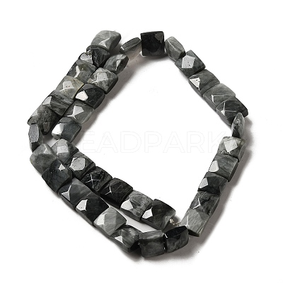 Natural Eagle Eye Stone Beads Strands G-C109-A15-02-1