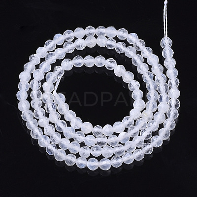 Natural Rainbow Moonstone Beads Strands G-R465-02B-1