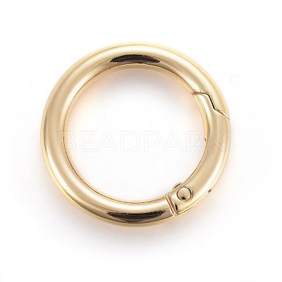Zinc Alloy Key Clasps PALLOY-WH0056-04LG-1