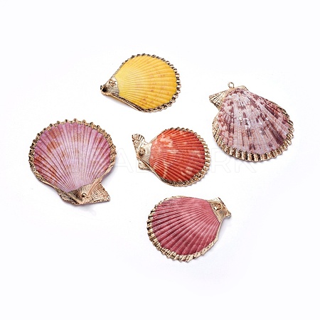 Shell Pendants SHEL-P075-05-1