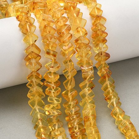 Natural Amber Beads Strands G-K376-C02-01-1