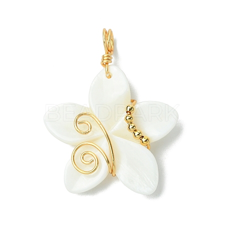 Natural Carved Freshwater Shell Pendants PALLOY-JF03391-1