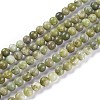 Natural Idocrase Beads Strands G-N165-7-2-1