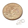 ABS Imitation Pearl Bead Charms PALLOY-JF04111-2