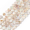 Electroplated Natural Freshwater Shell Beads Strands SHEL-K001-002-1