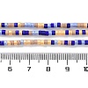 Handmade Lampwork Beads Strands LAMP-L078-008G-4