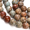 Natural Aqua Terra Jasper Beads Strands G-Z110-C01-14mm-4