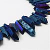 Electroplated Natural Quartz Crystal Beads Strands G-A142-03O-3
