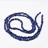 Chips Natural Lapis Lazuli Beads Strands X-G-N0164-46-3