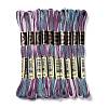 10 Skeins 6-Ply Polyester Embroidery Floss OCOR-K006-A27-1