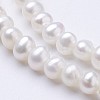 Natural Cultured Freshwater Pearl Beads Strands PEAR-F004-65-3