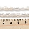 Natural Cultured Freshwater Pearl Beads Strands PEAR-P062-06F-5